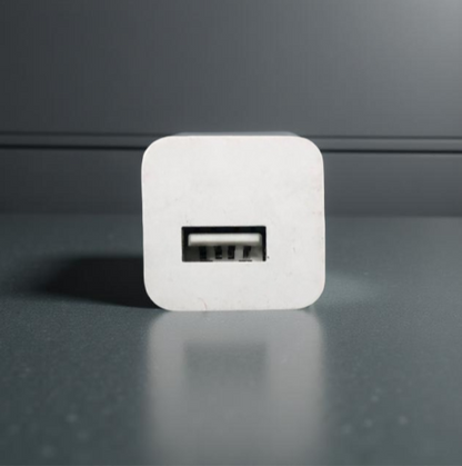 Apple 5W Charging Adapter (2 Pin)